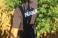 Veľká akcia NAKA, pri ktorej zrušila marihuanové pole: Zábery z dronu pripomínajú akčný film