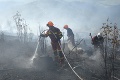 Na strednom Slovensku horelo 6 hektárov lesa: Požiar lokalizovali, hasiči dúfajú vo výdatný dážď