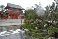 Japonsko zasiahol najsilnejší tajfún za 25 rokov: Čebi si vyžiadal 11 obetí