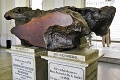 V brazílskom múzeu zhorelo 90 % exponátov: Pohľad na meteorit vás však zarazí