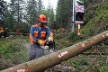Strom a skala privalili piliara Ľuba (44): Zraneného ratovali leteckí záchranári