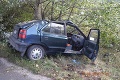 Smrť vodiča Zoltána († 50): S autom narazil do stromu