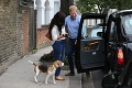 Fanúšikovia mohli stretnúť Meghan a Harryho na prechádzke v Londýne: Počkať, niečo tu nesedí