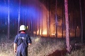 V Nemecku sa rozpútal mohutný lesný požiar: Museli evakuovať ľudí až z troch obcí