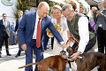 Putin zvláda jednu akciu za druhou: Najprv svadba v Rakúsku, večer piknik s Merkelovou