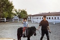 Ráno vstal a nemohol chodiť, zachránili ho kone: Teraz je majster Slovenska