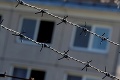 Dánsko postaví plot na hranici s Nemeckom: Chce zabrániť šíreniu choroby