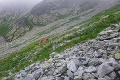 Nešťastie v Tatrách: Turista († 57) sa pošmykol na snehovom poli, zletel až na skaly