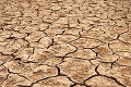 Holandsko zápasí s veľkým suchom: Vyhlásilo celoštátny nedostatok vody