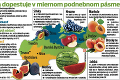 Klimatické zmeny spôsobujú posun teplotných pásiem: Budeme na Slovensku pestovať citrusy?