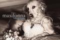 Pes Max je na nerozoznanie od speváčky Madonny: Fotka v dierkovaných pančuchách vás dostane!