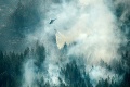 Extrémna situácia v Švédsku: Záchranné zložky prehrávajú boj s lesnými požiarmi