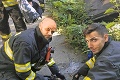 Pri požiari ubytovne zahynul muž († 61): Po neúspešnom oživovaní sa hasiči sa snažili zachrániť aspoň psíka