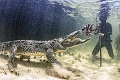 Podmorský fotograf riskoval s krokodílmi: Modelky na zahryznutie