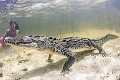 Podmorský fotograf riskoval s krokodílmi: Modelky na zahryznutie