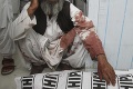 Masaker v Pakistane: Samovražedný útok zabil najmenej 133 ľudí, prihlásil sa Islamský štát
