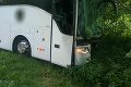 Vodič autobusu zišiel z cesty a narazil do stromu: Zranili sa všetci cestujúci, niekoľkí vážne
