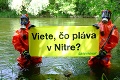 Greenpeace upozorňuje na znečistenie rieky Nitra: Alarmujúce zistenia o toxických látkach