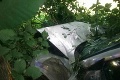 Vážna nehoda na Záhorí: Auto v priekope, päť zranených ľudí