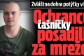 Zvláštna dohra potýčky v bare: Ochrancu čašníčky posadili za mreže!