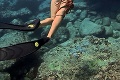 Mladá žena stretla pri potápaní na Havaji lenivú chobotnicu: Počkaj, môžem sa pricucnúť?!
