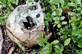 Záhadný nález v Tatrách: Komu patrí ľudská lebka?!