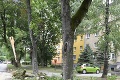 Severným Slovenskom sa prehnala búrka: Stromy padali ako zápalky, veľký požiar pri Čadci