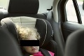 Dráma v Žilinskom kraji: Malé dieťa bolo samé v zaparkovanom aute!