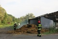 Obrovský požiar na družstve v Brestov: Vyhorela maštaľ patriaca kontroverznej rodine Rodovcov