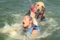 Žena zobrala k jazeru aj svojho psa, netušila, čoho je schopný: Tieto TOP fotky valcujú internet