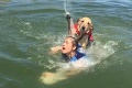 Žena zobrala k jazeru aj svojho psa, netušila, čoho je schopný: Tieto TOP fotky valcujú internet