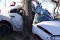 Podnapitý vodič narazil s autom do stromu: Zahynula spolujazdkyňa Mária († 23)!