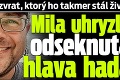 Hororový zvrat, ktorý ho takmer stál život: Mila uhryzla odseknutá hlava hada