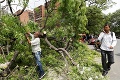 Silný vietor vyvracal stromy, ktoré popadali na domy: O život prišlo najmenej desať ľudí