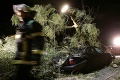 Osudová reportáž: Novinárov, ktorí dokumentovali následky búrky Alberto, zabil padajúci strom