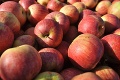 Jahody, paradajky či jablká: Ktoré plody majú najviac pesticídov? Odborníci odhalili nepríjemnú pravdu