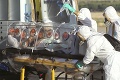 Vysoko nákazlivá ebola má ďalšiu obeť: Počet infikovaných krvácavou horúčkou stúpa