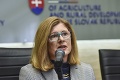 Ministerka Matečná reaguje na kauzu s pozemkami: Cena 0,59 € za štvorcový meter je v poriadku