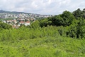 Bratislavský amfiteáter 10 rokov po ničivom požiari: Z legendárnej stavby zarastená džungľa