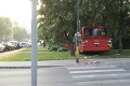 Odbrzdený stroj zdemoloval autá a lavičky, nakoniec skončil v strome: Vodič naháňal autobus!