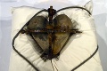 Polícia objasnila bizarnú krádež: Po rokoch našli srdce stredovekého svätca!