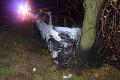 Osobné auto nabúralo v okrese Krupina do stromu: Zranený chlapček (4) je v kritickom stave v umelom spánku