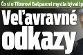 Čo si o Tiborovi Gašparovi myslia bývalí policajní prezidenti? Veľavravné odkazy