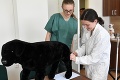 Výučba veterinárov v Košiciach už nebude nikdy ako predtým: Vyše 100-tisícová investícia sa oplatila!