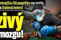 Muž zjedol najpikantnejšiu čili papričku na svete, razom ho ochromila šialená bolesť: Hrozivý nález v mozgu!