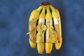 Holanďan Stephan Brusche ukazuje, čo sa dá robiť s banánmi: Umenie na zjedenie