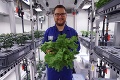 Vedcom vyrástla zelenina na Antarktíde: Rastliny budú možno raz pestovať aj na Marse či Mesiaci