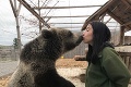 Chcete dať pusu medveďovi alebo sa túliť s levom? Na Slovensku existuje miesto, kde je to možné!