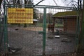Bezcitní vandali úradovali v Lučenci: Otrávili nevinné zvieratká v minizoo!