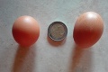 Čo má spoločné dvojeurovka a slepačie vajce? Uvidíte fotky, razom pochopíte!